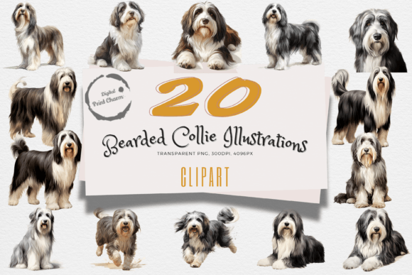 Download Bearded Collie Dog Art Clipart Pack - Premium Bundle