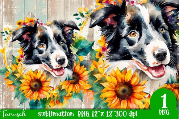 Download Watercolor Border Collie Sublimation - Premium Bundle
